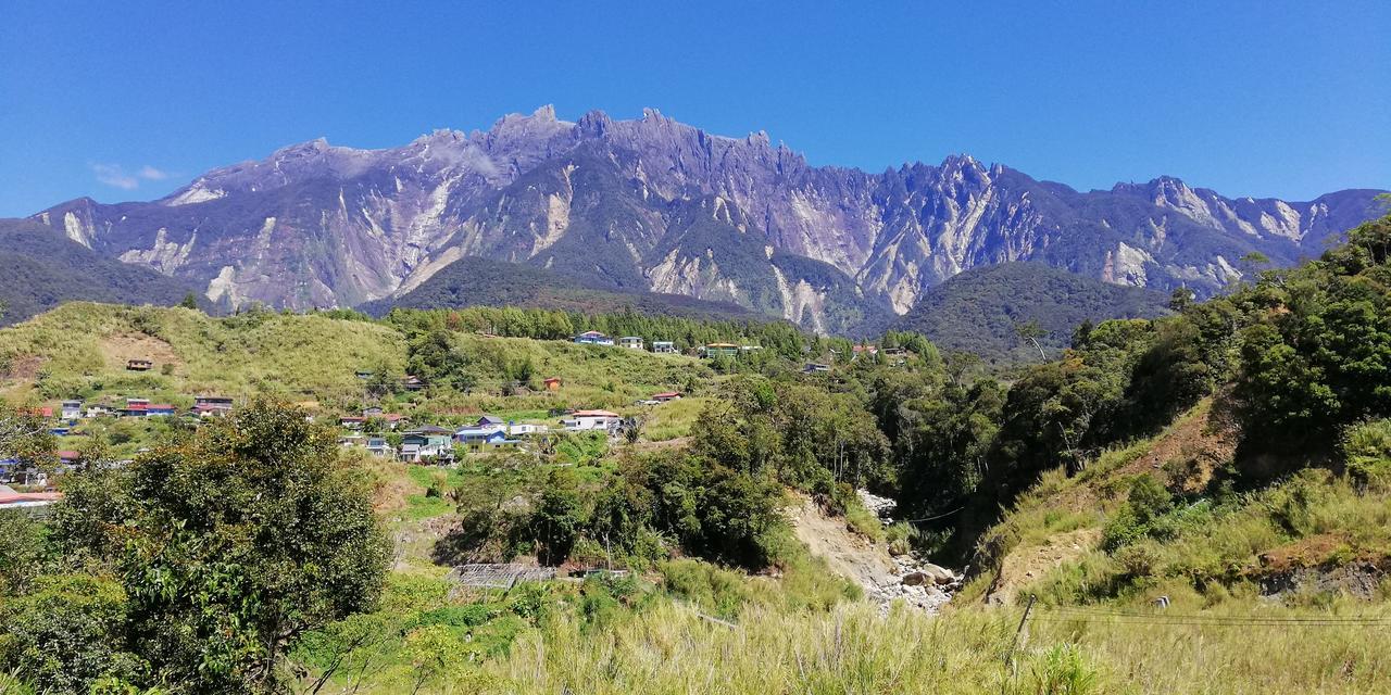 Suite dengan Pemandangan Gunung